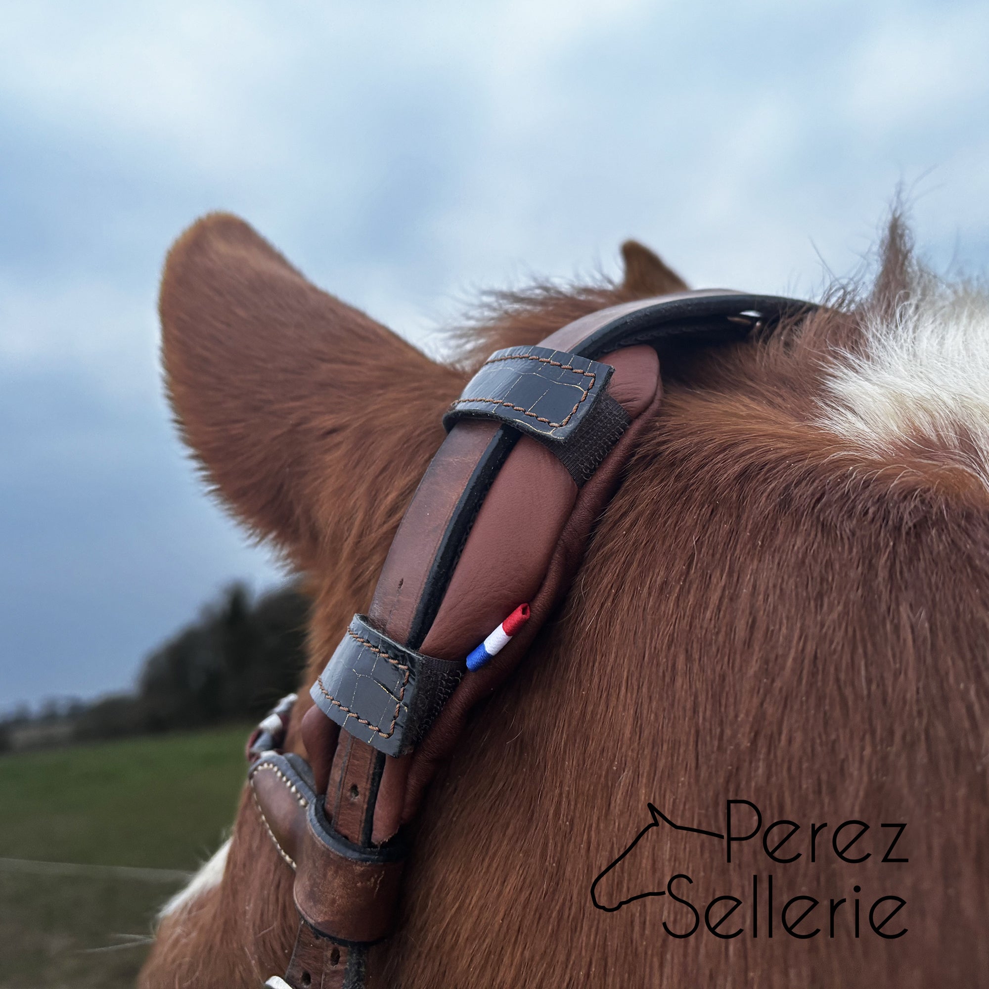 KilPenn Personnalisable Laine - Pad de têtière - Confort Cheval