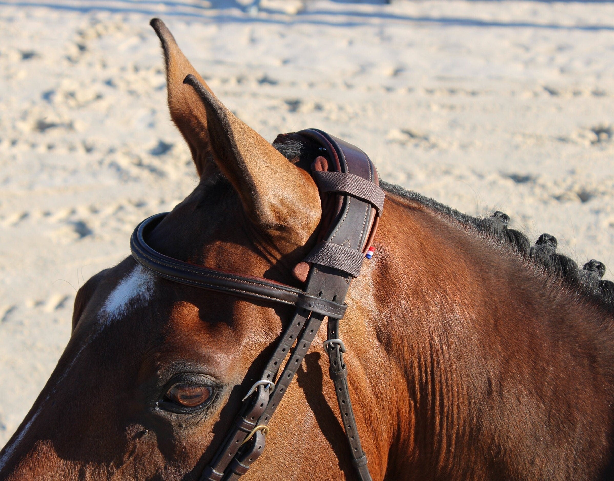KilPenn cuir havane - Pad de têtière - Confort Cheval