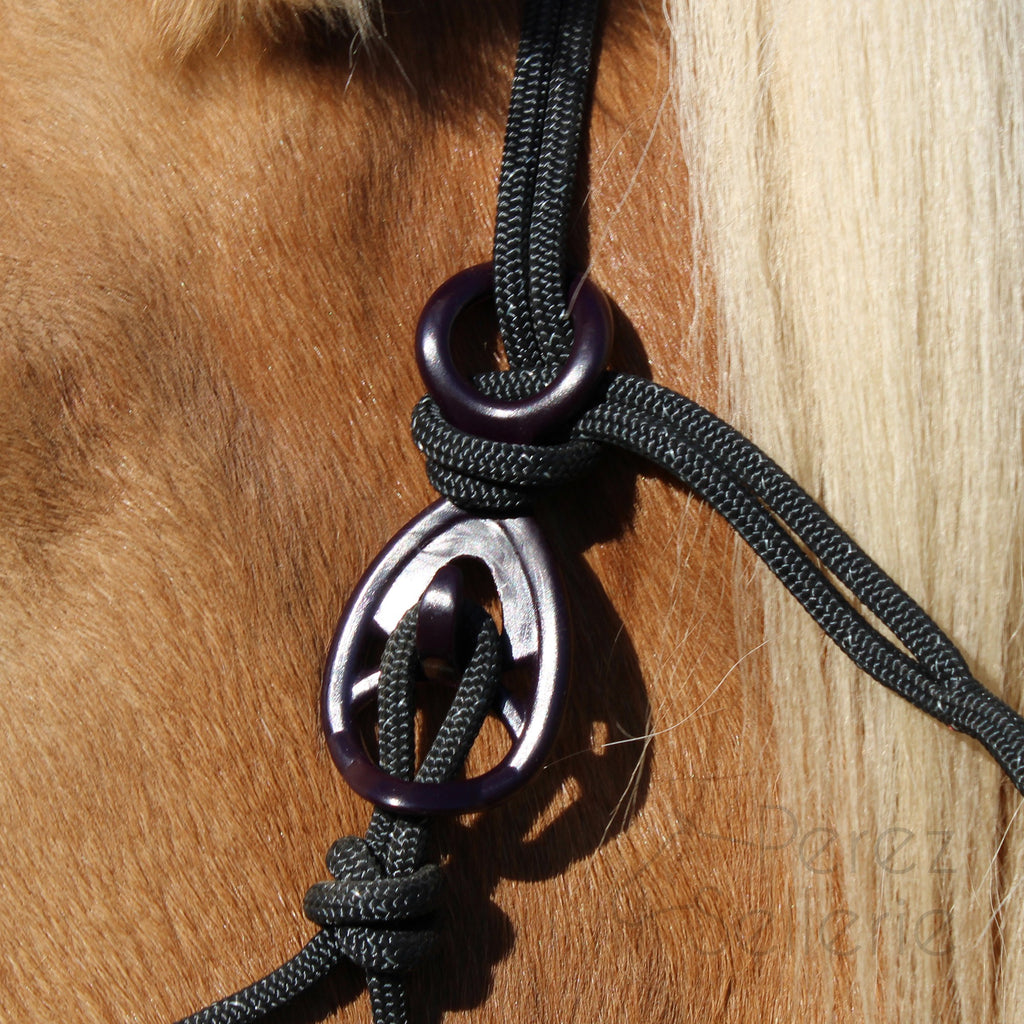 HooKilPenn : Le crochet de licol de sécurité - Lot de 5