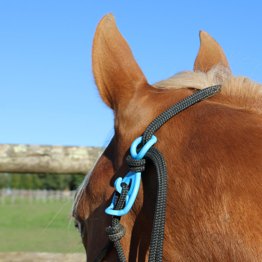 HooKilPenn : Le crochet de licol de sécurité - Lot de 5