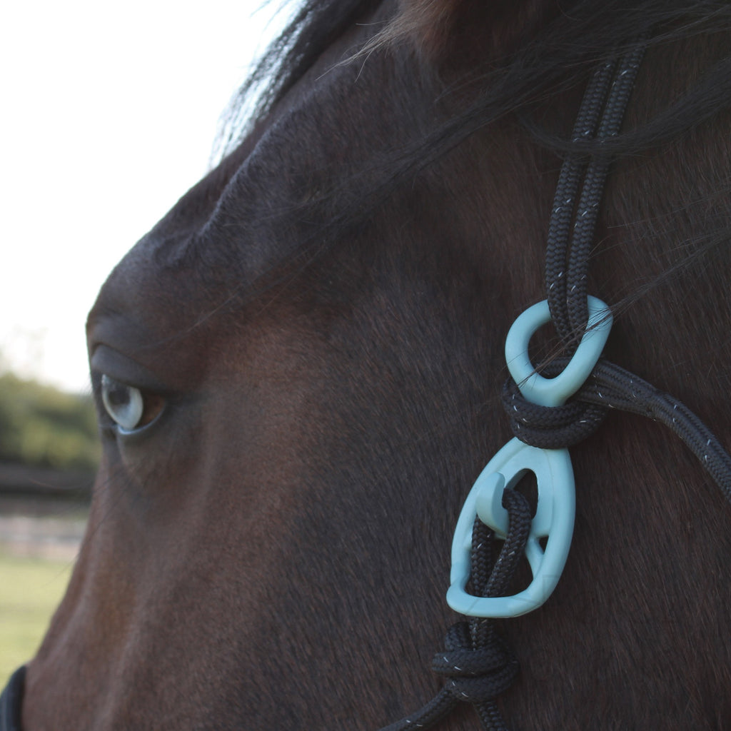 HooKilPenn : Le crochet de licol de sécurité - Lot de 5