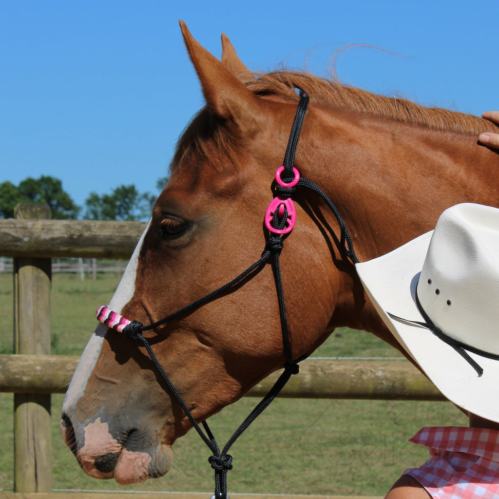 HooKilPenn : Le crochet de licol de sécurité - Lot de 5