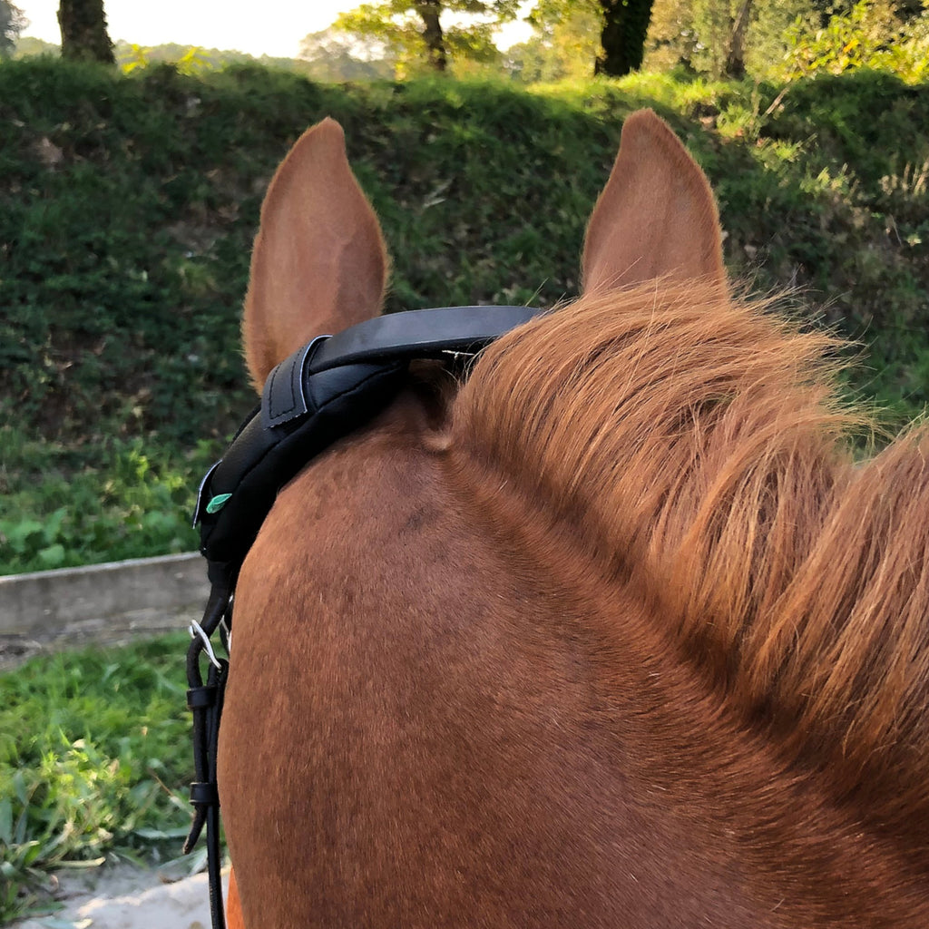 KilPenn cactus - Pad de têtière - Confort Cheval