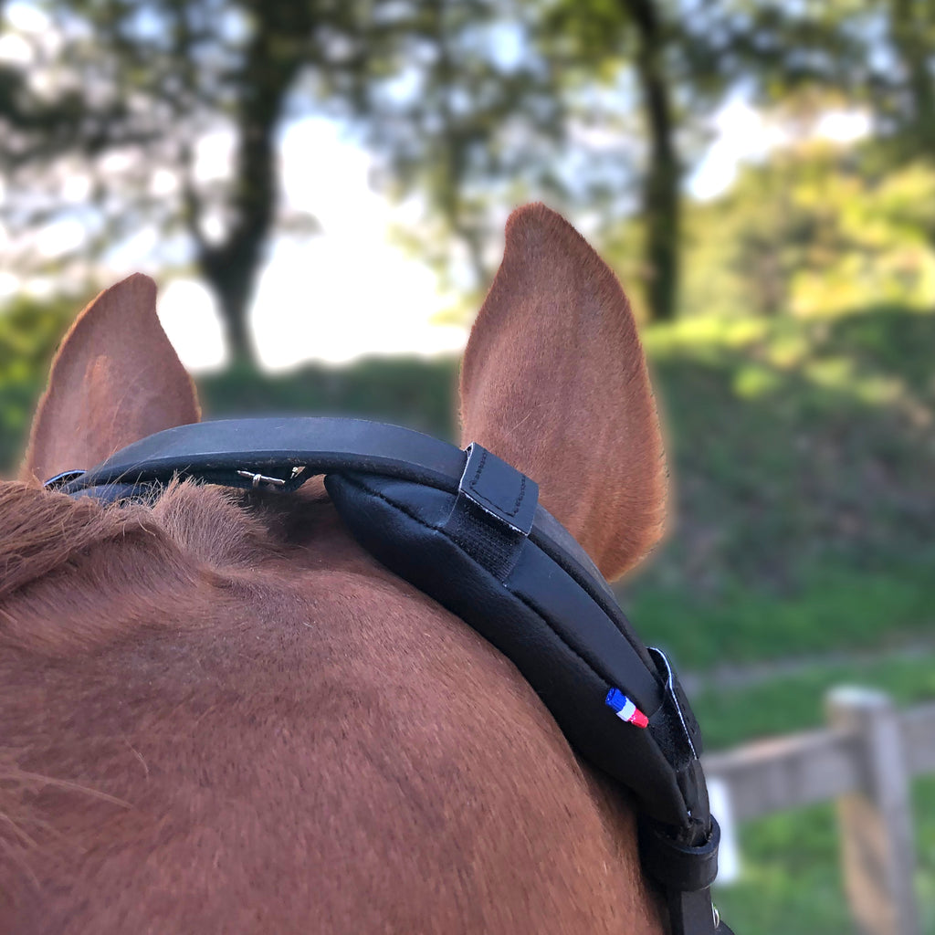 KilPenn cactus - Pad de têtière - Confort Cheval