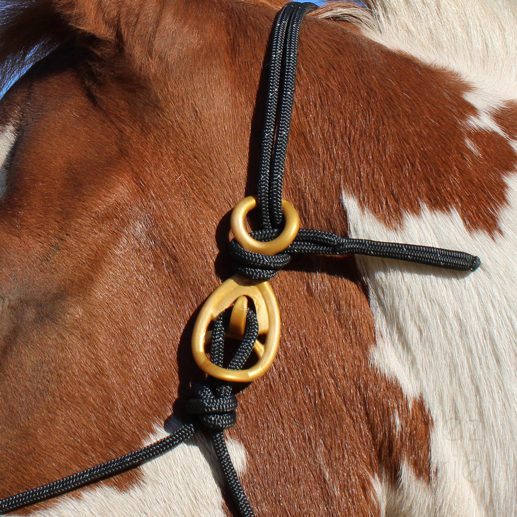 HooKilPenn : Le crochet de licol de sécurité - Lot de 5