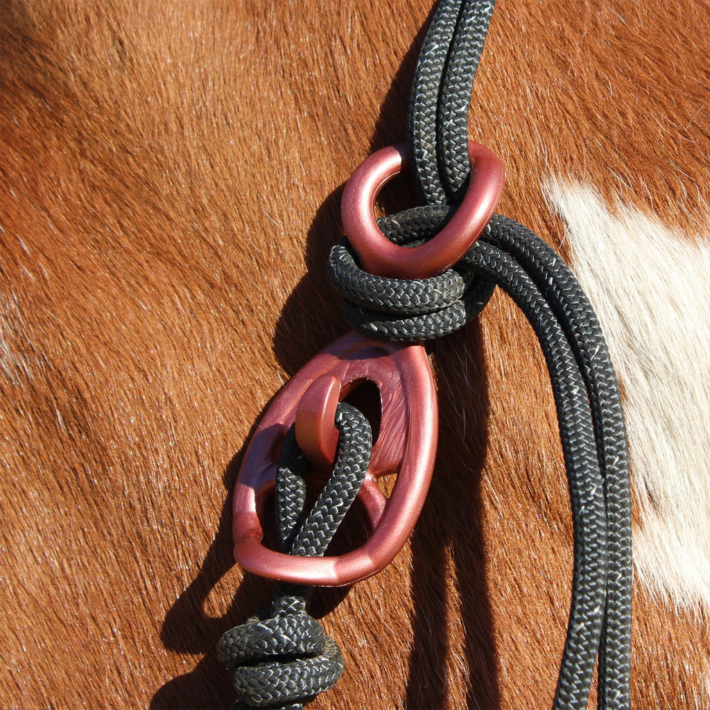 HooKilPenn : Le crochet de licol de sécurité - Lot de 5