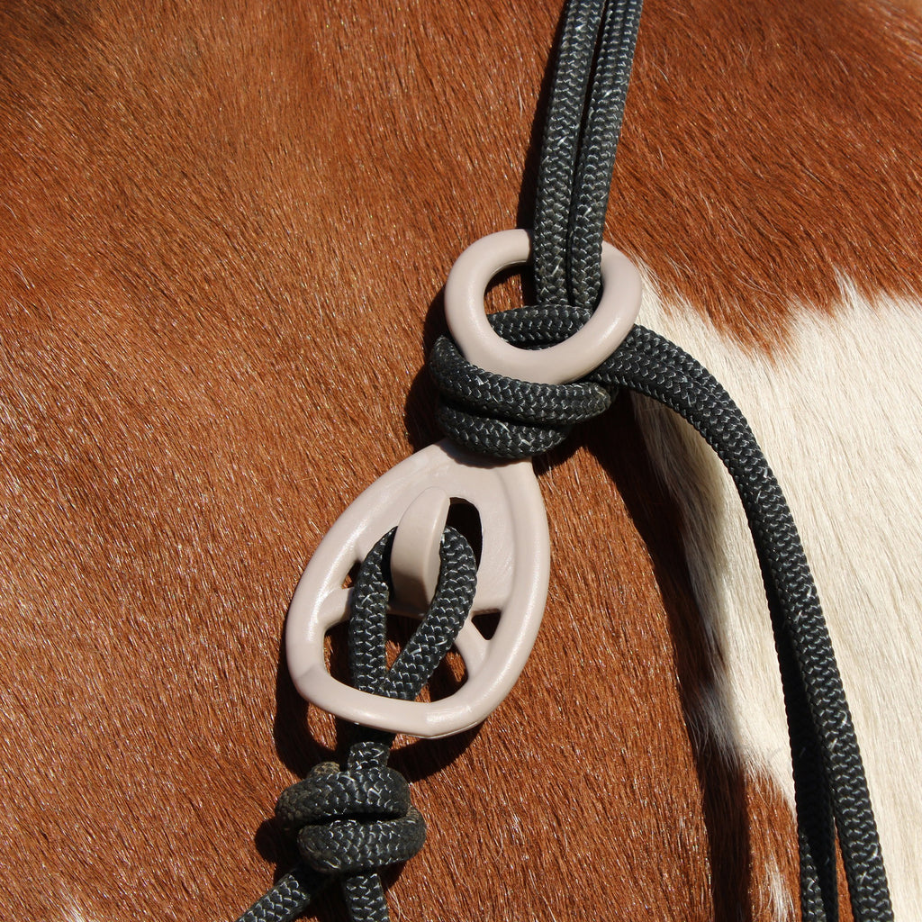 HooKilPenn : Le crochet de licol de sécurité - Lot de 5