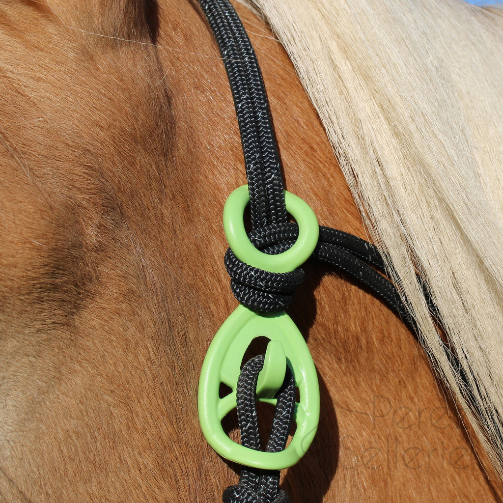 HooKilPenn : Le crochet de licol de sécurité - Lot de 5